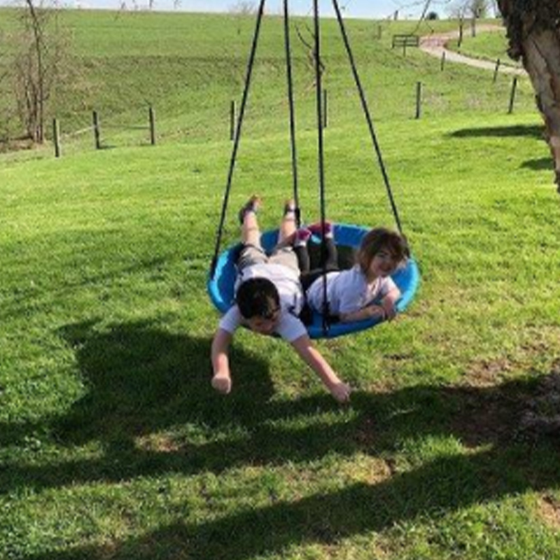 Tree Swing na may Bandila